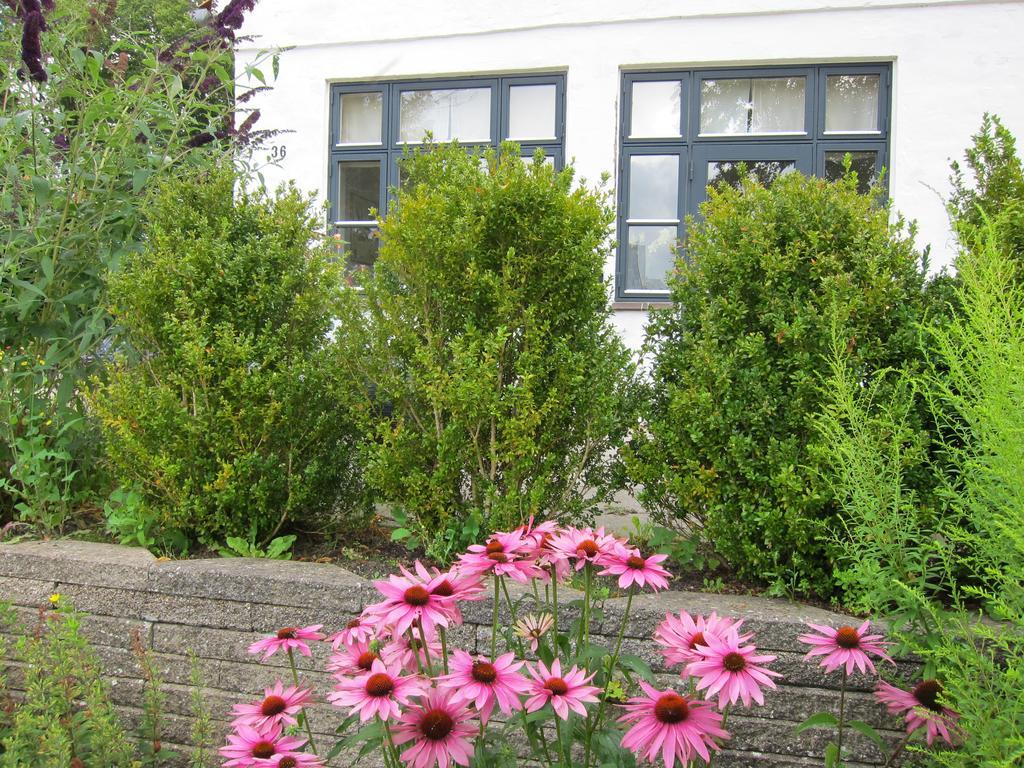 Provstegarden Bed & Breakfast Hovedgard Экстерьер фото